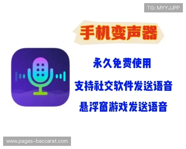 使用大饼变声器后游戏声音消失的解决方法与原因分析