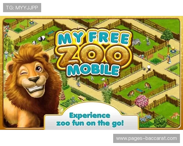 飞行动物园纸质版游戏全套可打印设计，打造独特动物园体验