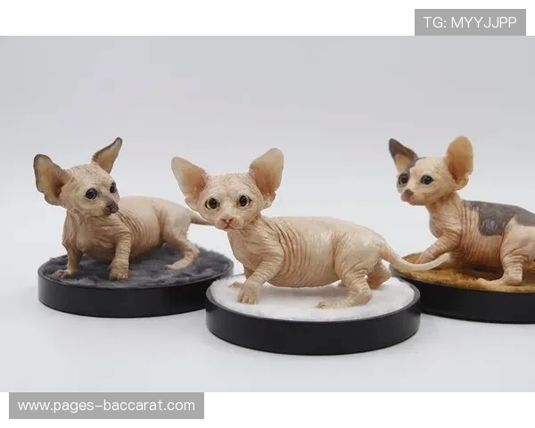 《打造梦幻小猫咖啡店:模拟经营贴纸全攻略与创意设计》 《打造梦幻小猫咖啡店:模拟经营贴纸全攻略与创意设计》