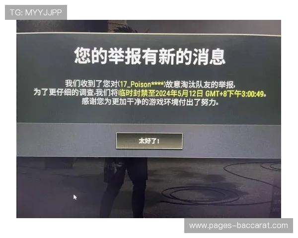 因游戏行为异常全区封号一天 玩家请注意维护良好游戏环境 因游戏行为异常全区封号一天 玩家请注意维护良好游戏环境
